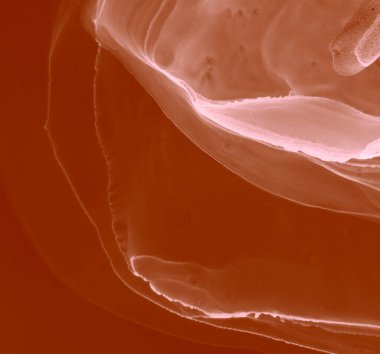 Kahverengi Soyut Tasarım. Su taklidi. Suluboya doku. Islak Sanat Yazıcısı. Pembe Alkol Mürekkebi. Banner 'a su sıçrat. Sanatçı Alkol Mürekkebi. Kırmızı suluboya baskı. Soyut Sıçrama.