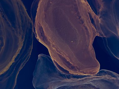 Indigo Soyut Arkaplan. Soyut boyama. Suluboya Baskı. Suluboya doku. Mürekkep Graffiti. Soyut Sıçrama. Alkol Mürekkebi Gömleği. Mavi suluboya deseni. Altın Alkol Mürekkebi Yazdır.