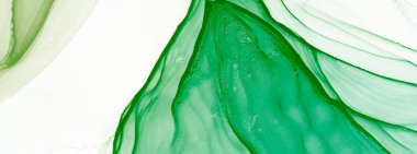 Derin Yeşil Modern Sanat. Çağdaş Sanat. Islak Sanat Yazıcısı. Suluboya deseni. Yeşil Sanatçı Alkol Mürekkebi. Suluboya Baskı. Soyut Sıçrama. Mürekkep Graffiti. Alkol Mürekkebi Sanatı. Çiçek.