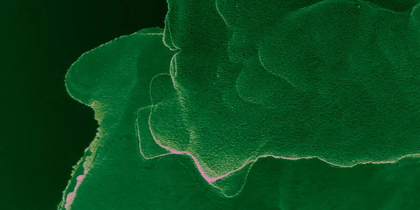 花の水の模倣 抽象絵画 水彩プリント 水彩画 スプラッシュバナー 水彩パターン 緑のアルコールインクパターン 芸術的なアルコールインク — ストック写真
