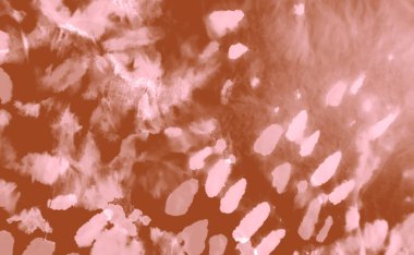 Aquarelle dokusu. Kahverengi kravat boyası. Soyut Sıçrama. Boyayı bağla. Kahve Kremalı Sanatsal Kirli Sanatlar. Kirli Resim. Suluboya desenli. Islak Sanat Yazıcısı. Flama SancağıName. 