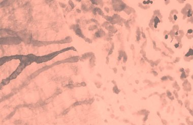 Gri Kirli Sanat Arkaplanı. Kirli Sanat Ressamlığı. Islak Sanat Yazıcısı. Aquarelle dokusu. Dişlerimi fırçaladım. Pembe Sıçrayan Sancak. Dye Batik 'i bağla. Gümüş suluboya baskı. Gül kravat boyası..