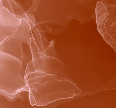 Kakao Suyu Taklidi. Soyut arkaplan. Islak Sanat Yazıcısı. Soyut Sıçrama. Alkol Mürekkebi Örnekleri. Ochre Suluboya deseni. Kırmızı Sanatsal Alkol Mürekkebi. Suluboya Baskı. Flama SancağıName.