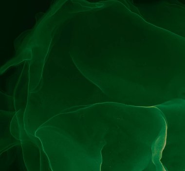 Çiçek Soyut Geçmişi. Modern sanat. Islak Sanat Yazıcısı. Suluboya doku. Mürekkep Graffiti. Soyut Sıçrama. Alkol Mürekkebi Sanatı. Siyah suluboya deseni. Yeşil Alkol Mürekkebi Gömleği.