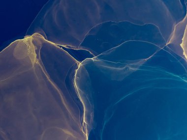 Koyu Mavi Soyut Tasarım. Çağdaş Sanat. Suluboya deseni. Suluboya Baskı. Soyut Sıçrama. Suluboya doku. Mavi Alkol Mürekkebi deseni. Banner 'a su sıçrat. Alkol Mürekkebi Gömleği. Altın