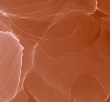 Çağdaş Kakao Sanatı. Modern sanat. Suluboya deseni. Islak Sanat Yazıcısı. Kahverengi Alkol Mürekkebi. Suluboya Baskı. Banner 'a su sıçrat. Soyut Sıçrama. Sanatçı Alkol Mürekkebi. Kırmızı