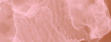 Kırmızı Ochre Su Taklidi. Soyut Tasarım. Islak Sanat Yazıcısı. Suluboya doku. Mürekkep Graffiti. Banner 'a su sıçrat. Alkol Mürekkebi Yazdır. Kahverengi suluboya baskı. Pembe Sanatsal Alkol Mürekkebi.