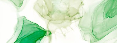 Yeşil Modern Sanat. Çağdaş Sanat. Suluboya deseni. Suluboya Baskı. Mürekkep Graffiti. Islak Sanat Yazıcısı. Koyu Yeşil Alkol Mürekkebi Gömleği. Banner 'a su sıçrat. Alkol Mürekkebi Sanatı. Çiçek.