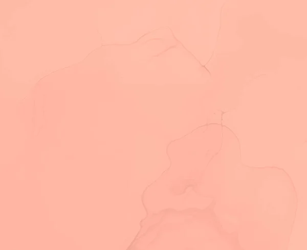 Rosy Abstract Painting Современное Искусство Мокрый Отпечаток Акварель Патч Коралловых — стоковое фото