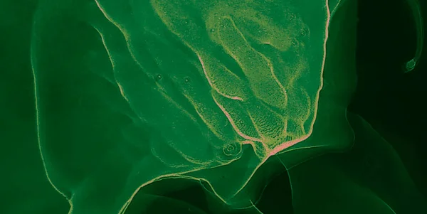 Diseño Abstracto Verde Arte Contemporáneo Impresión Arte Húmedo Impresión Acuarela —  Fotos de Stock