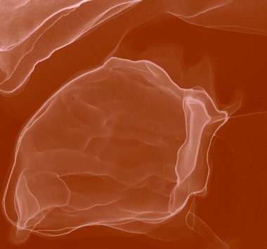 Kırmızı Soyut Tasarım. Su taklidi. Suluboya deseni. Banner 'a su sıçrat. Alkol Mürekkebi Gömleği. Kahverengi Islak Sanat Baskısı. Soyut Sıçrama. Suluboya doku. Kakao Alkol Mürekkebi Deseni.