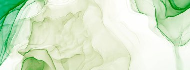 Yeşil Modern Sanat. Soyut arkaplan. Suluboya deseni. Suluboya Baskı. Çiçek Alkol Mürekkebi. Suluboya doku. Mürekkep Graffiti. Banner 'a su sıçrat. Sanatçı Alkol Mürekkebi. Koyu Yeşil