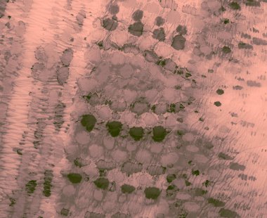 Kirli Ressamlık Gülü. Kirli Sanat Arkaplanı. Islak Sanat Yazıcısı. Banner 'ı fırçaladım. Kravat boyası baskısı. Gümüş Kova deseni. Pembe kravat boyası. Suluboya Baskı. Banner 'a su sıçrat. Gri