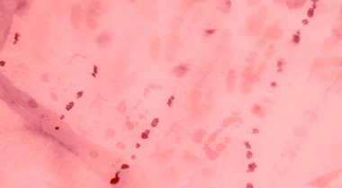 Parlak Kirli Sanat Ressamlığı. Sanatsal Kirli Sanat. Suluboya Baskı. Aquarelle dokusu. Banner 'ı fırçaladım. Pembe Islak Sanat Yazıcısı. Açık pembe kravat boyalı batik. Dişlerimi fırçaladım. Kravat boyası baskısı. Pembe.