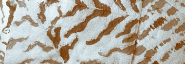 Kahverengi Kirli Sanat Arkaplanı. Sanatsal Kirli Sanat. Suluboya Baskı. Banner 'a su sıçrat. Kravat boyası. Mavi Kova dokusu. Kahve kravatlı boya yaması. Islak Sanat Yazıcısı. Banner 'ı fırçaladım. Gri