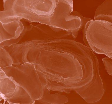 Kırmızı Modern Sanat. Soyut Tasarım. Suluboya Baskı. Islak Sanat Yazıcısı. Banner 'a su sıçrat. Mürekkep Graffiti. Alkol Mürekkebi Sanatı. Pembe suluboya dokusu. Kakao Alkol Mürekkebi Deseni.