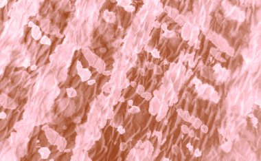 Islak Sanat Yazıcısı. Kremalı kravat boyası baskısı. Banner 'ı fırçaladım. Boyalı Kravat deseni. Beyaz Kahverengi Kirli Sanat Grunge. El yapımı Kirli Sanatlar. Suluboya deseni. Suluboya Baskı. Flama SancağıName. 