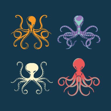 Vector Illustration Octopus seti. Dokunaçlı Deniz Ürünleri Hayvan Mürekkep Balığı