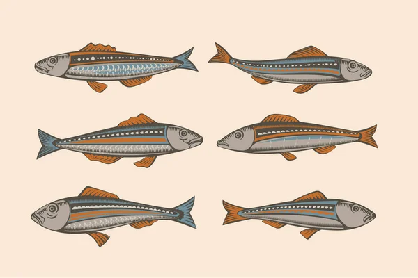 一组病媒沙丁鱼 设计海鲜包装和市场用的虹膜徽章鱼 — 图库矢量图片
