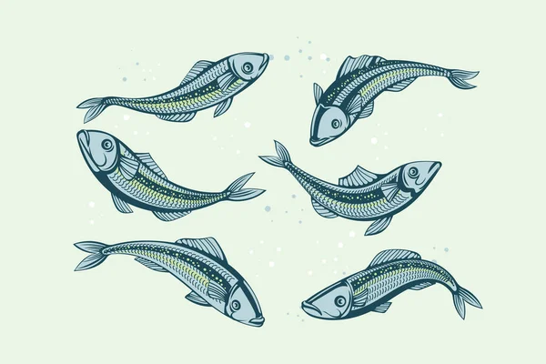一组病媒沙丁鱼 设计海鲜包装和市场用的虹膜徽章鱼 — 图库矢量图片