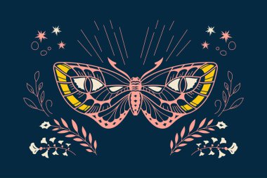 İzoterik Baykuş Kelebeği Tropik Böcek Dekorasyon ve Arkaplan İçin Uygun