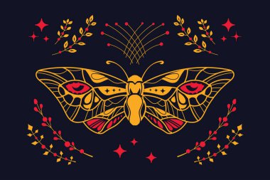 İzoterik Baykuş Kelebeği Tropik Böcek Dekorasyon ve Arkaplan İçin Uygun