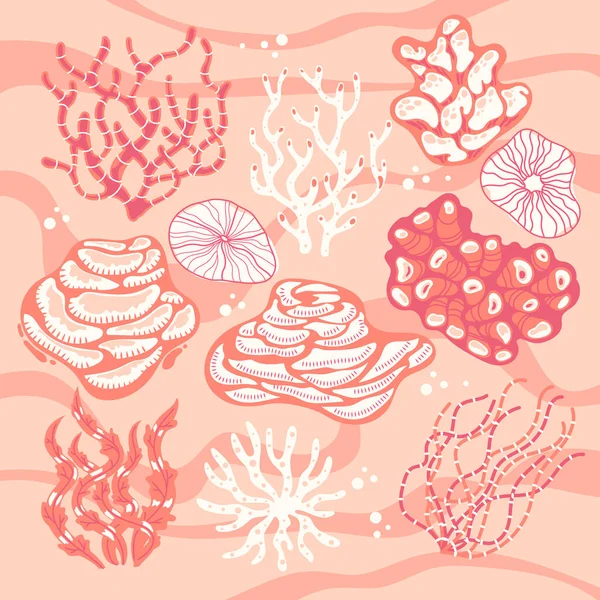 Set Corals Sea Sponges Vector Illustration — Stock Vector