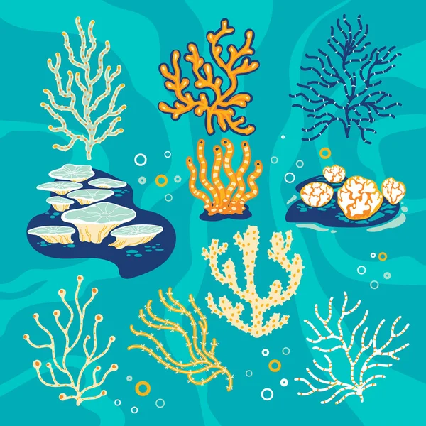Joukko Koralleja Merisieniä Vektori Kuva tekijänoikeusvapaita kuvituskuvia