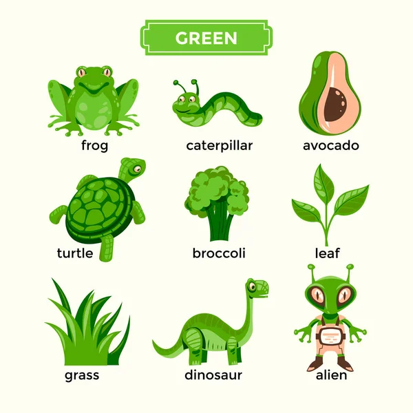 Flashcards Learning Green Color Vocabulary Set Vector Graphics