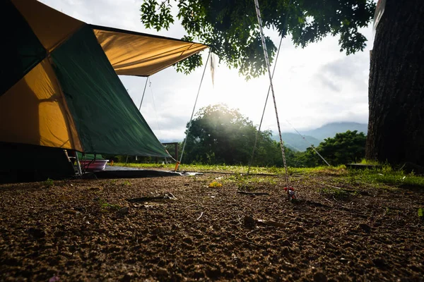 Палатка Деревом Прекрасный Рассвет Утром — стоковое фото