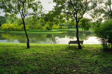 Tahta sandalyeler, yeşil çimenli ağaçlar ve sabahın erken saatlerinde parkta göl..