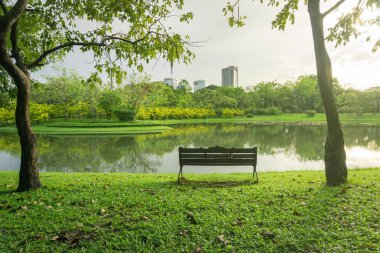 Güzel yeşillikleri olan bir Central Park, büyük ağaçların arasına kurulmuş ahşap sandalyeler..