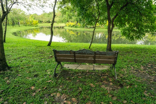 Güzel parklar, rahatlamak için ahşap sandalyeler, Başkent Bangkok 'un ortasındaki parkta gölün etrafında yeşil ağaçlar.