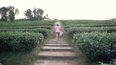 Yerel pembe tişörtlü Asyalı kadın turist çay tarlasında yürüyor..