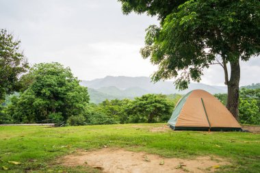 Ağaçların altındaki yeşil çimlerin üzerinde dağ manzaralı turist çadırı, tatil kampı..