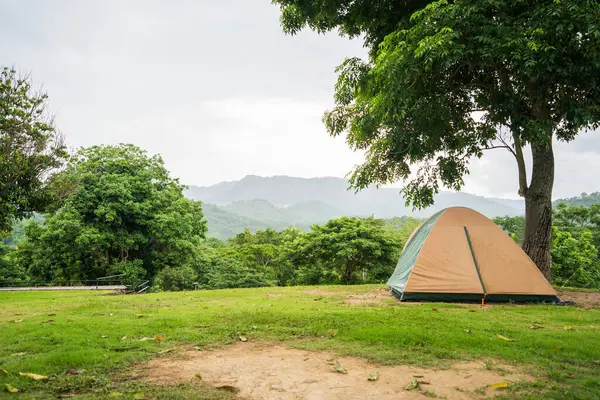 Туристическая Палатка Зеленой Траве Деревьями Видом Горы Кемпинг — стоковое фото