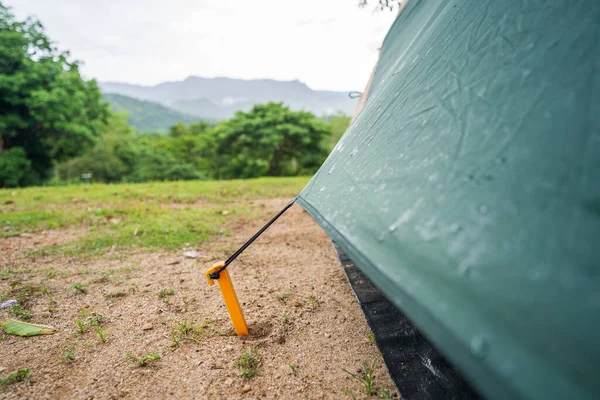 Tiendas Verdes Turistas Después Lluvia Anclas Amarillas Bordadas Suelo Bosques — Foto de Stock