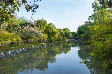 Central City Park 'ta güzel bir sabah ışığı lagünü ve mavi gökyüzü..