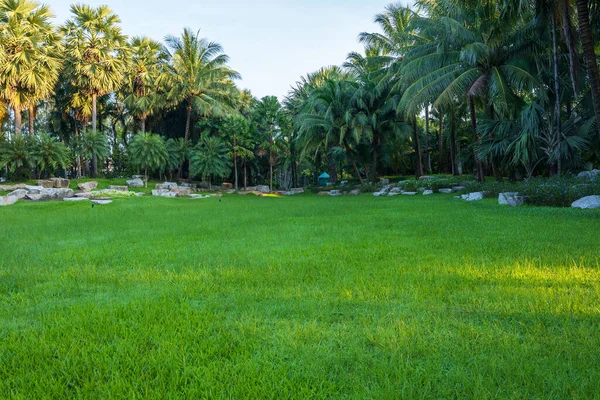 Hermoso Árbol Grande Con Campo Hierba Verde Cielo Azul Parque — Foto de Stock