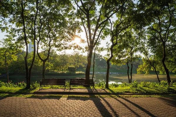 Central City Park 'ta güzel bir sabah ışığı çimen tarlası ve ahşap sandalyeyle.