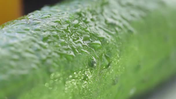 Salpicos de água cair sobre o pepino e gotas de água fluir para baixo ele close-up — Vídeo de Stock