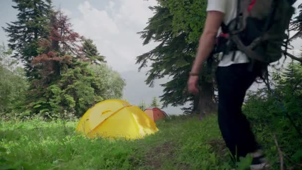 Ein junger männlicher Tourist mit einem Rucksack auf dem Rücken, der durch den Wald in einer bergigen Gegend spaziert. Tourismus — Stockvideo