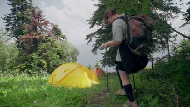 Una joven turista con una mochila en la espalda, caminando por un bosque en una zona montañosa. Turismo — Vídeo de stock