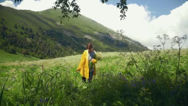 Mladá žena ve žlutém plášti stojí na louce s kyticí květin a užívá si scenérie v hornatých oblastech. Cestování a cestovní ruch — Stock video