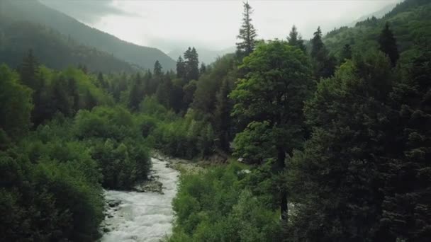 Une vallée pittoresque avec une rivière de montagne est une vue à vol d'oiseau. Forêts vertes sur les rivages rocheux. — Video