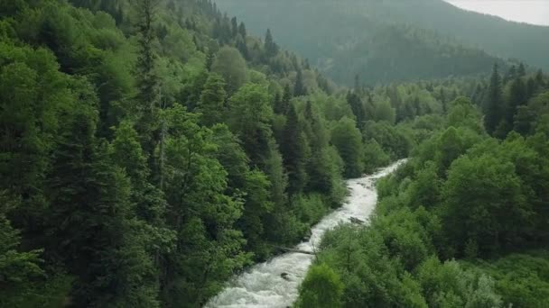 Une vallée pittoresque avec une rivière de montagne est une vue à vol d'oiseau. Forêts vertes sur les rivages rocheux. — Video