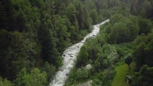 Une vallée pittoresque avec une rivière de montagne est une vue à vol d'oiseau. Forêts vertes sur les rivages rocheux. — Video