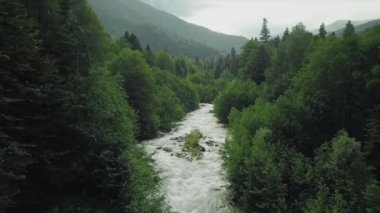 Dağ nehri olan pitoresk bir vadi kuş bakışı bir manzaradır. Kayalık kıyılarda yeşil ormanlar.