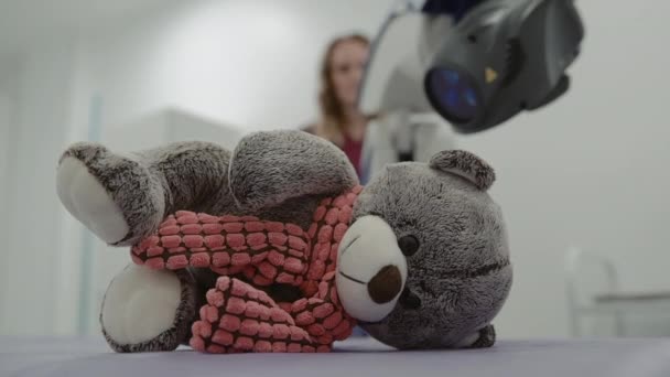 Rentgen medvídka, doktoři dělají rentgen plyšového medvídka. Medicína — Stock video