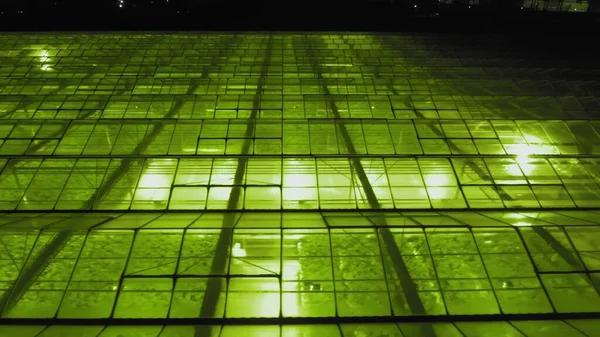 Abstrakter grüner geometrischer Hintergrund. Nachts beleuchtete Gewächshäuser. Landwirtschaftliche Infrastruktur auf Glasdächern. — Stockfoto